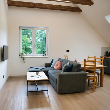 Apartmany U Zajicu Karlov  Exterior photo