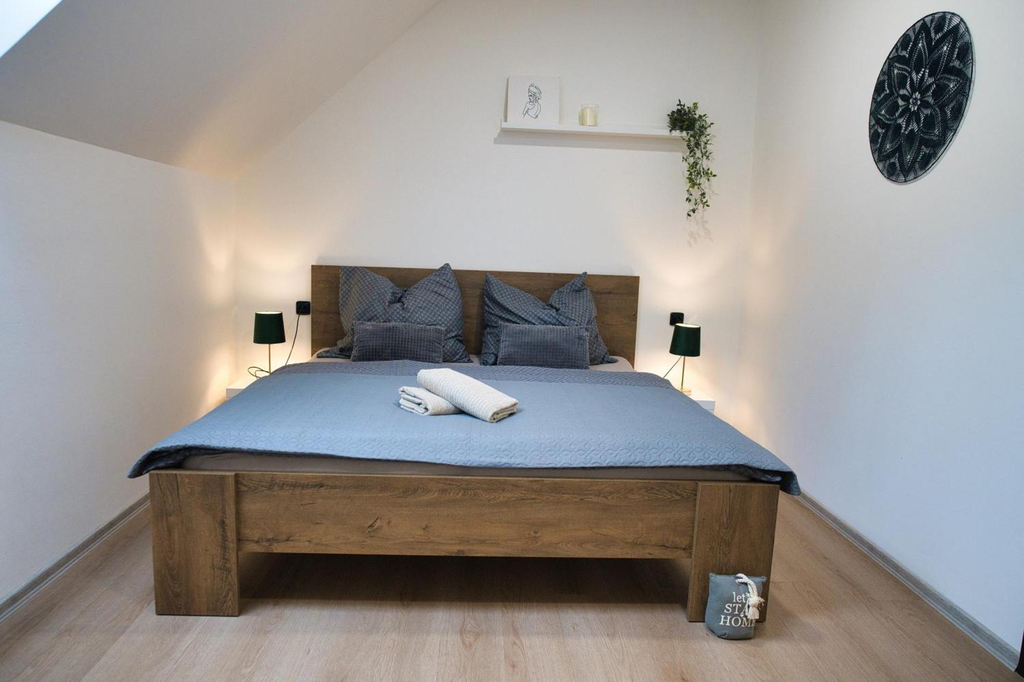 U Zajicu Apartment