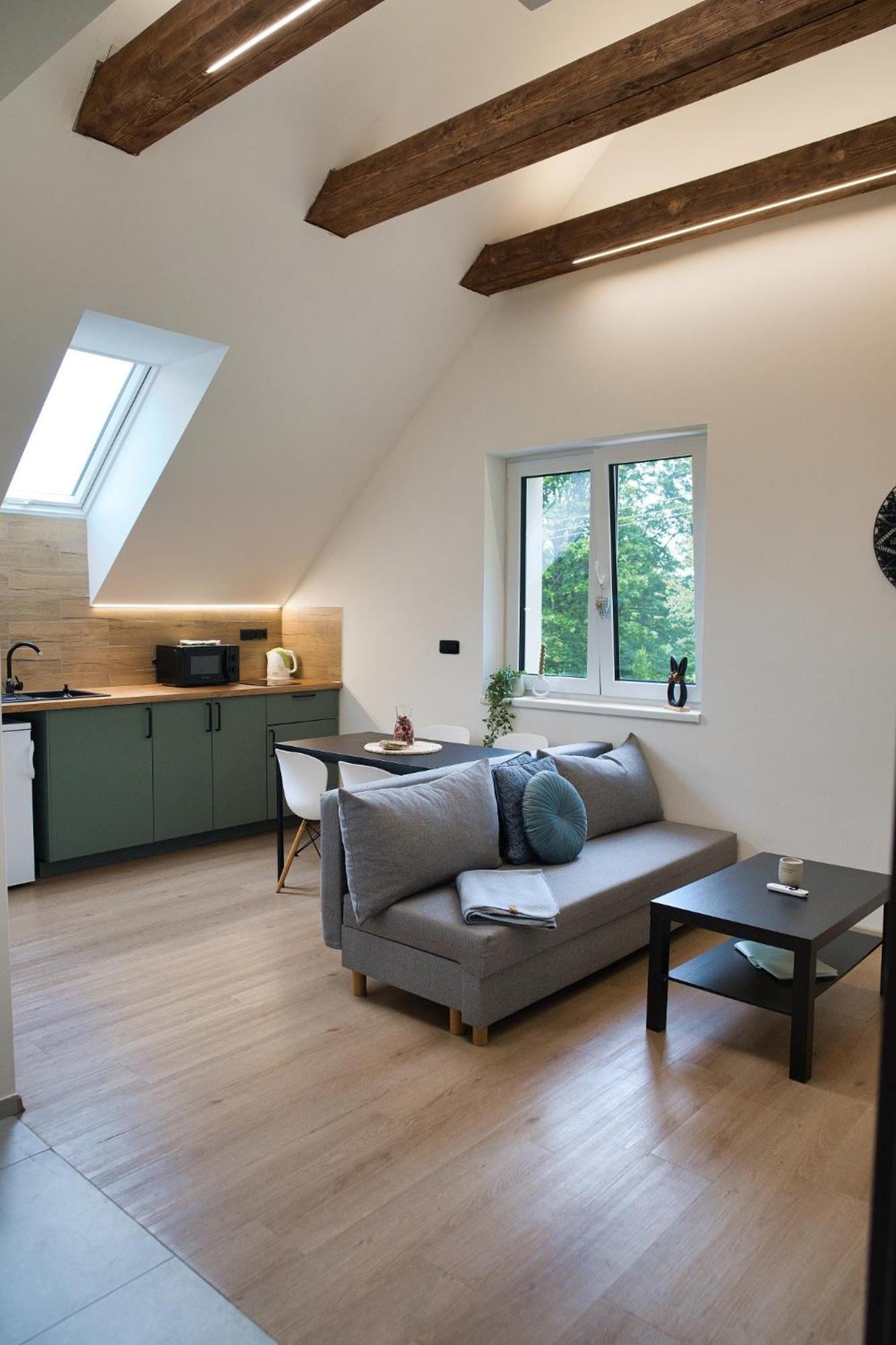 U Zajicu Apartment Karlov (Bruntal)